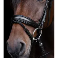 Bridle Blackshine Patent Waldhausen S-Line