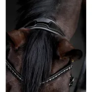 Bridle Blackshine Patent Waldhausen S-Line