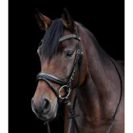 Bridle Blackshine Patent Waldhausen S-Line