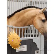 Stable buddy Sunny Imerial Riding