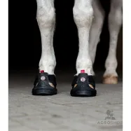Trekking Shoe Equine Fusion®