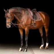 Side reins leather Core Elastic Imperial Riding