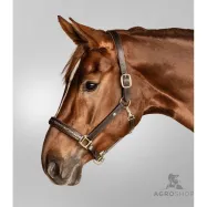 Leather halter Crystal Waldhausen X-Line