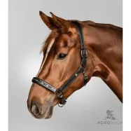 Leather halter Crystal Waldhausen X-Line