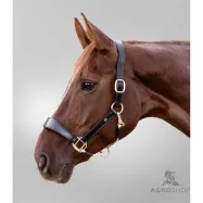 Halter Royal Waldhausen S-Line