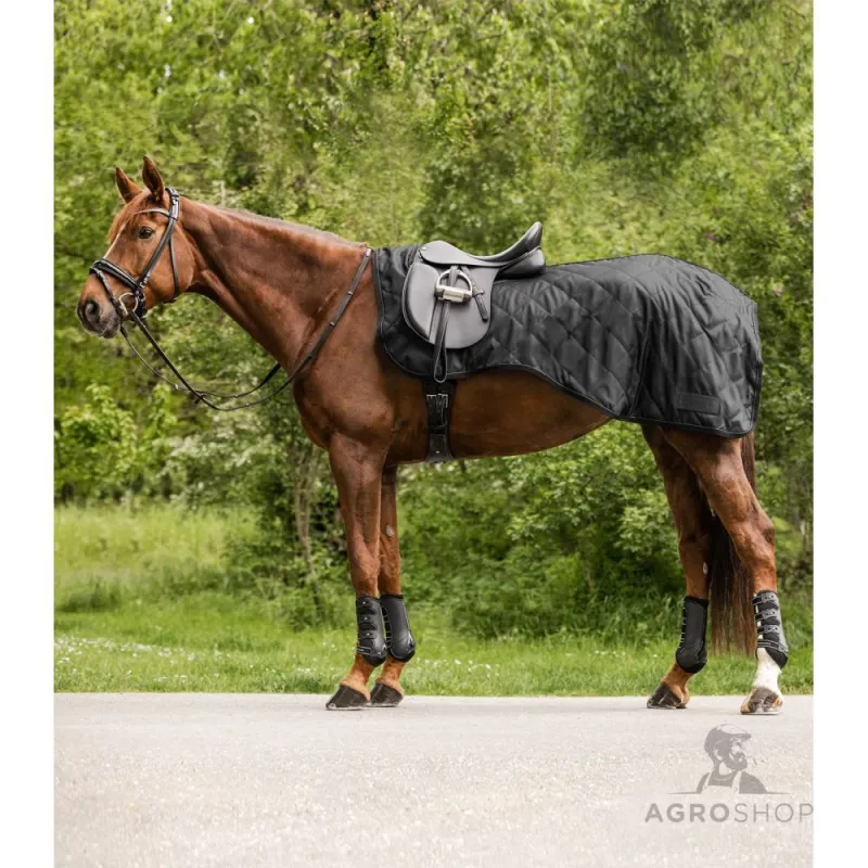 Exercise sheet Exclusive 50g Waldhausen