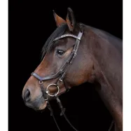 Bridle Relaxation Waldhausen X-Line