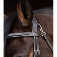 Bridle Work Waldhausen-X-Line