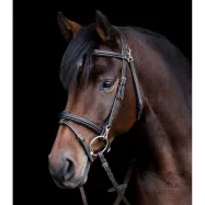 Bridle Work Waldhausen-X-Line