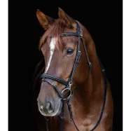 Bridle Work Waldhausen-X-Line