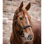 Halter Athletic Waldhausen