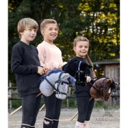 Hobby horse Waldhausen