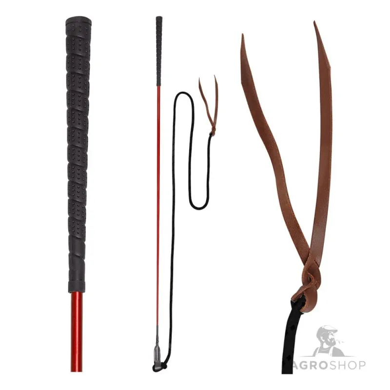 Whip Contact Waldhausen