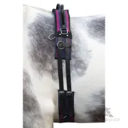 Lunge roller Canvas HKM