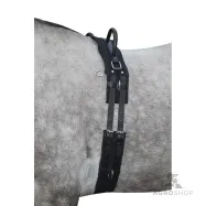 Lunge roller Canvas HKM