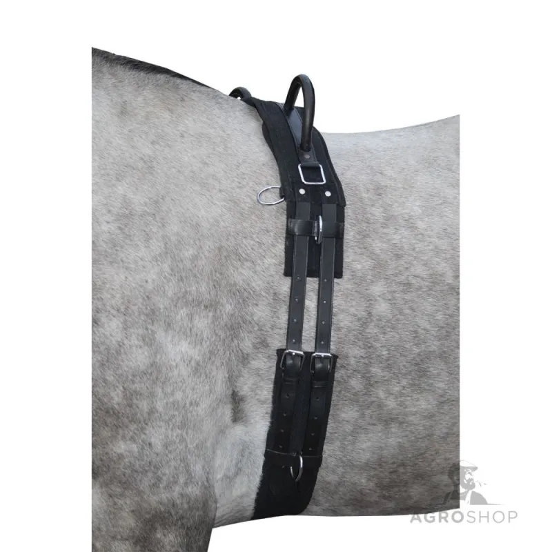 Lunge roller Canvas HKM