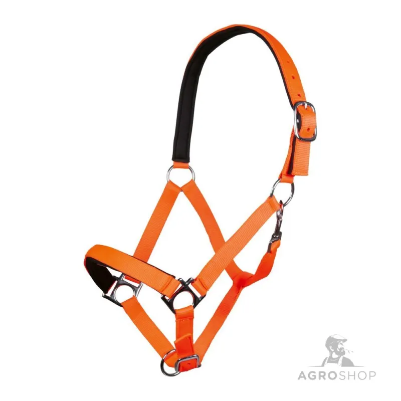 Halter Stars Softice HKM