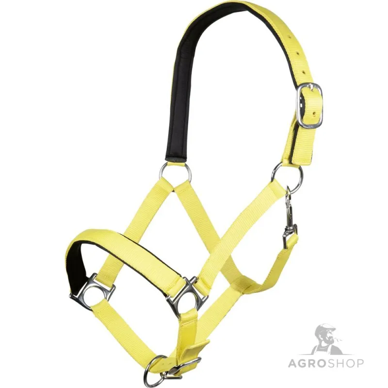 Halter Stars Softice HKM