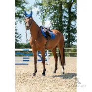 Saddle pad Essentials HKM