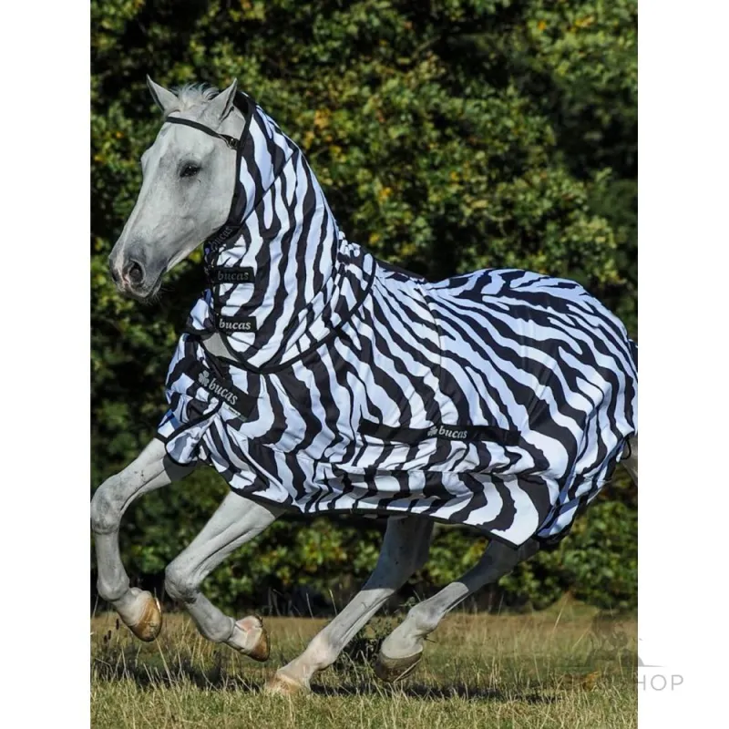 Sweet-Itch Zebra Bucas