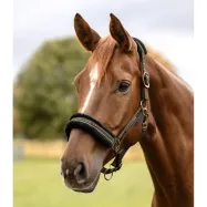 Halter Elegant Waldhausen