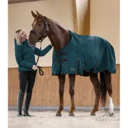 Tunrout rug Artic 200g 600D Waldhausen