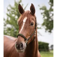 Halter Satin Waldhausen