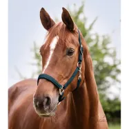 Halter Satin Waldhausen