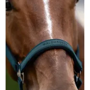 Halter Athletic Waldhausen