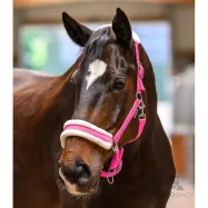 Halter Elegant Waldhausen