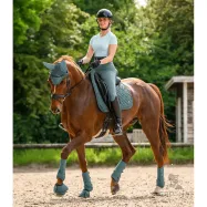 Riding Leggings Ella Kids E·L·T