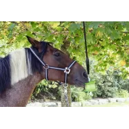 Lick holder Delizia®