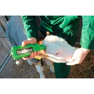 Patareidel toimiv sarvepõletaja Buddex