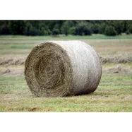 copy of Silopallikile 750 mm x 1500 m, valge