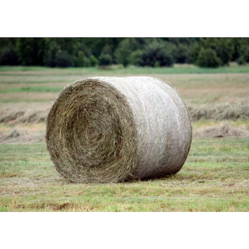 copy of Silopallikile 750 mm x 1500 m, valge