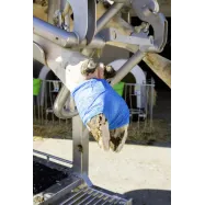 Bandage 7.5cm Vetlastic