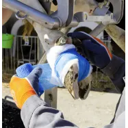 Bandage 7.5cm Vetlastic