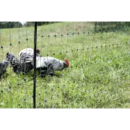 Sähköpaimenen verkko