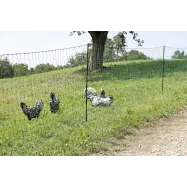 Sähköpaimenen verkko