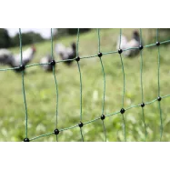 Sähköpaimenen verkko