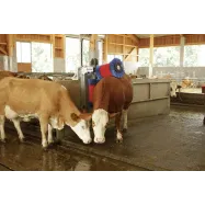 copy of Lehmaharjamismasin HAPPYCOW