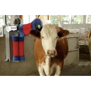 copy of Lehmaharjamismasin HAPPYCOW