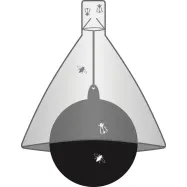 Horsefly trap TaonX Eco