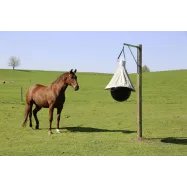 Wall Mount for TaonX