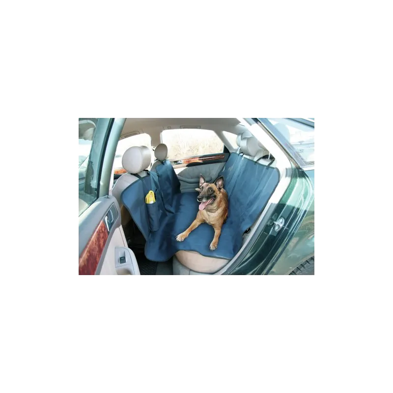 Koera transpordi autoistmekate 