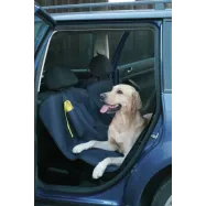 Koera transpordi autoistmekate 
