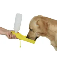 Koera transpordi autoistmekate 