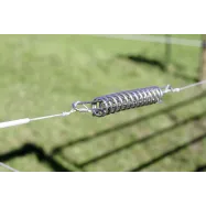 Temperatuurimuutustele isereageeriv taraliinipinguti