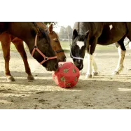 Feed-ball Toy 60mm Kerbl