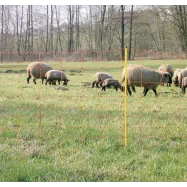 Sähköistettävä verkko